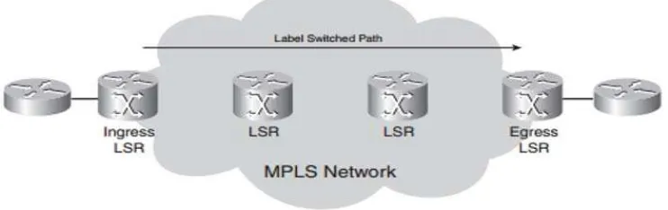 Gambar 2.11 LSP Melalui Sebuah Jaringan MPLS 