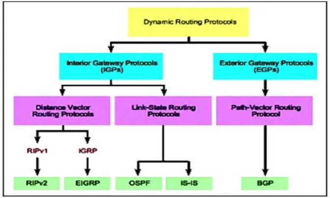 Gambar 2.6 Klasifikasi Routing Protocol 