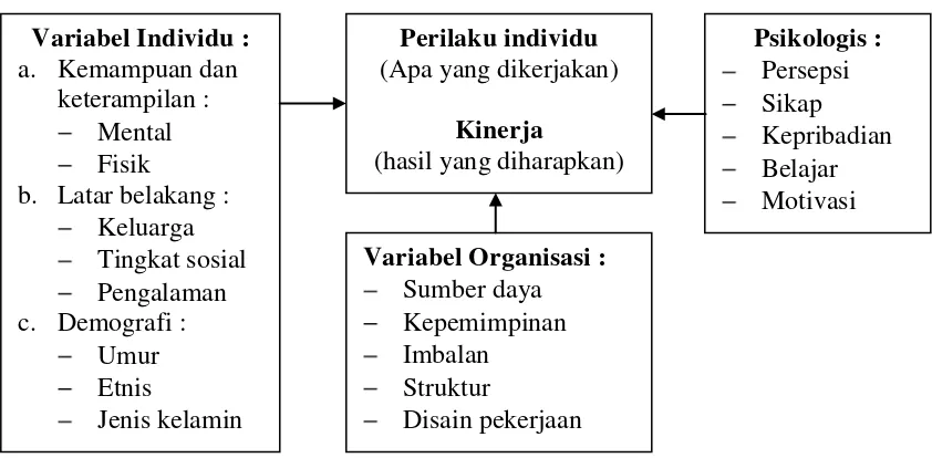 Gambar 2.1. Diagram Skematis Teori Perilaku dan Kinerja 