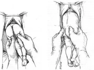 Gambar 2.3 Langkah 7  (http://www.google.com)  