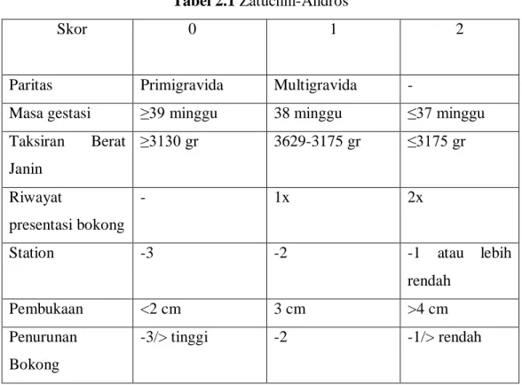 Tabel 2.1 Zatuchni-Andros 