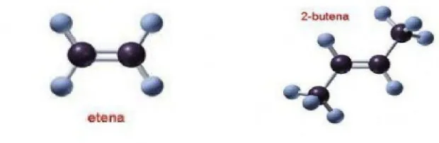 Tabel 1. Nama,Rumus Struktur, dan Rumus Molekul Beberapa Senyawa Alkena  