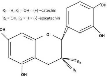 Gambar 4.1  Rantai kimia procyanidin pada biji kakao (Whiteacre et al. 2003 dan Misnawi 2009) 
