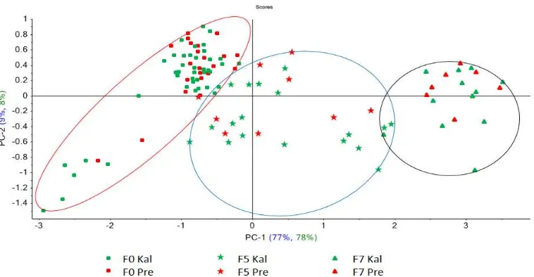 Tabel 4.1  Perhitungan akurasi hasil prediksi untuk penggolongan fermentasi biji  kakao utuh baik pada PCA + SNV maupun pada PCA + MSC  