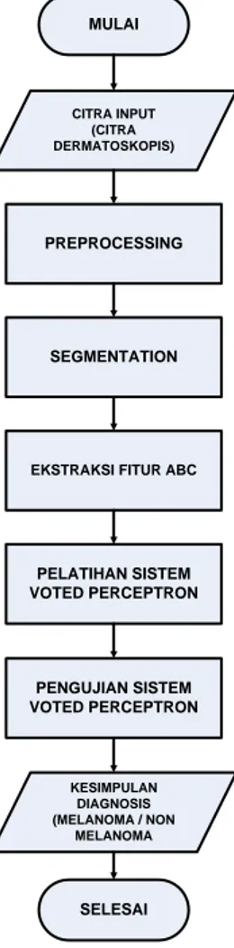 Gambar 3  Diagram alir sistem secara umum
