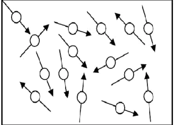Gambar  2.1  Arah  domain-domain  dalam  bahan  paramagnetik  sebelum  diberi medan magnet luar 