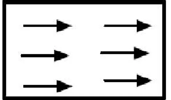 Gambar 2.3 Arah domain dalam bahan ferromagnetik. 