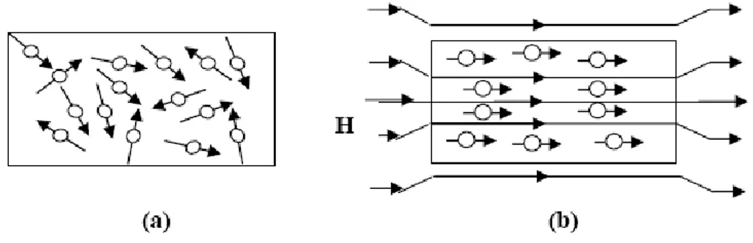 Gambar 2.6 Arah partikel pada magnet isotropi dan anisotropi  (a) Arah partikel acak (Isotrop) 