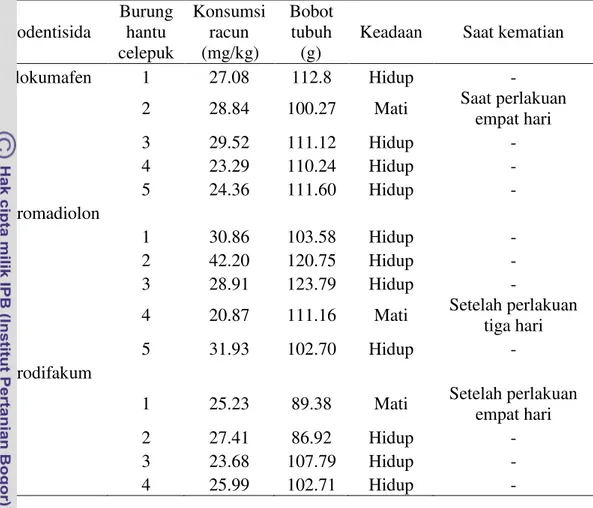 Tabel  6    Konsumsi  setiap  individu  burung  hantu  celepuk  terhadap  rodentisida  antikoagulan dan keadaan setelah perlakuan  
