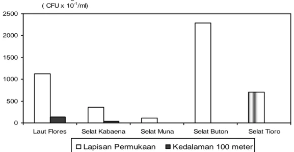 Gambar 3.  Perbandingan  kandungan  bakteri  heterotrofik  pada  kedalaman  laut  permukaan  dan  kedalaman  100  meter  di  perairan  Laut  Flores,  Selat  Kabaena,  Selat  Muna,  Selat  Buton  dan  Selat  Tioro,  Sulawesi  Tenggara  pada periode peneliti