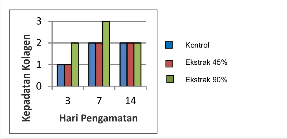 Tabel 1. Hasil uji Kruskal-Wallis antar kelompok pada kepadatan serabut kolagen soket gigi pasca ekstraksi gigi marmut.