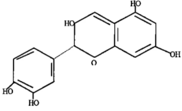 Gambar 2.1. Struktur kimia katekol (Deliana, 2003). 