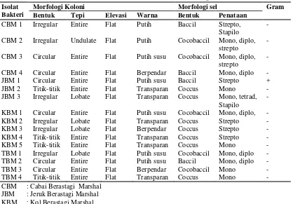 Tabel 4.1.1 Karakteristik Morfologi dan Pewarnaan Gram Bakteri Penghasil Biosurfaktan dari Tanah Pertanian Berastagi  