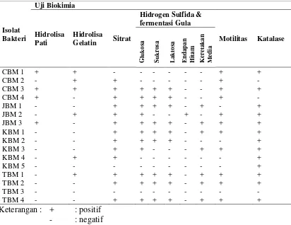 Tabel 4.1.2 Karakteristik Biokimia Bakteri Penghasil Biosurfaktan 