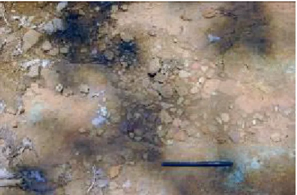 Tabel 1. Temuan batu inti dari situs-situs di Banyuwangi Selatan 