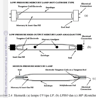 Gambar 2.4  Skematik (a) lampu UV tipe LP; (b) LPHO dan (c) MP (Koutchma et 