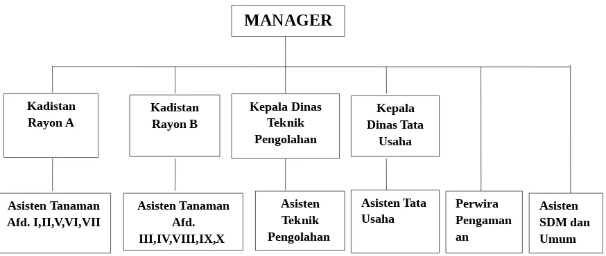 Gambar . Struktur Organisasi PTPN IV Unit Usaha Pasir Mandoge