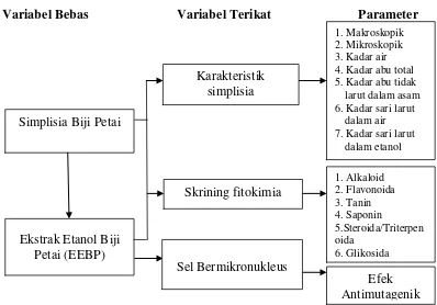 Gambar 1.1 Diagram Kerangka Pikir Penelitian 