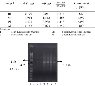 Tabel 2. Konsentrasi DNA