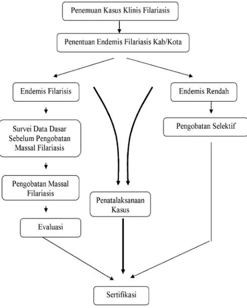 Gambar 2.2 Skema Proses Eliminasi Filariasis di Kabupaten/Kota 