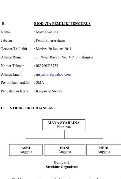 Gambar 1 Struktur Organisasi 