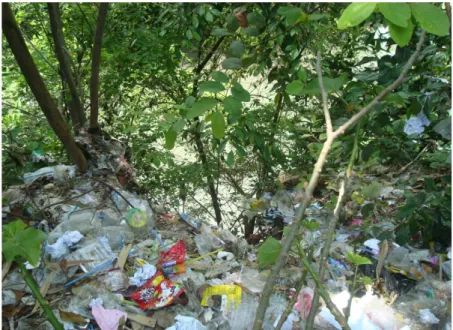 Gambar 1. Tumpukan Sampah di Bantaran Sungai Winongo Tepat di atas Bendung Bendolole      Sumber: observasi lokasi penelitian pada 22 November 2013 