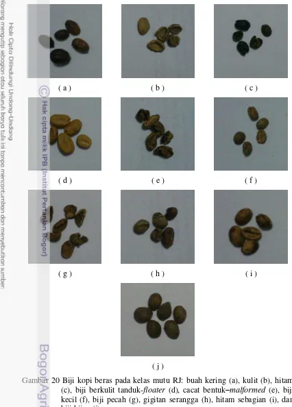 Gambar 20 Biji kopi beras pada kelas mutu RJ: buah kering (a), kulit (b), hitam 