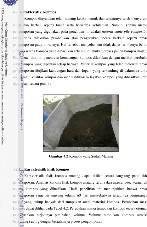Gambar 4.2 Kompos yang Sudah Matang 