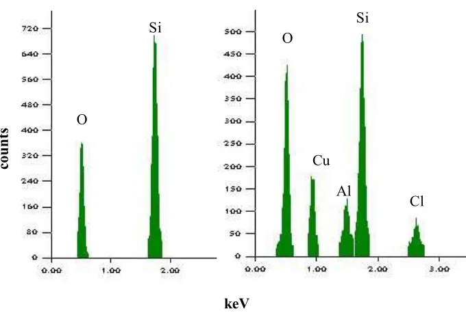 Gambar 2. Pola spektrum EDX dari silika induk (kiri) dan amobilat (kanan)