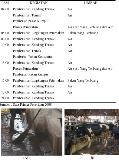 Gambar 4. (A) Proses Pembersihan Kandang dan (B) pembersihan Ternak 