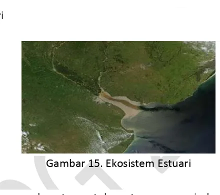 Gambar 15. Ekosistem Estuari 