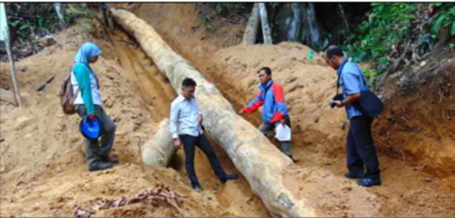 Gambar 5. Fosil kayu yang ditemukan di desa Purwajaya, Kecamatan Loa Janan, Kutai Kertanegara  dengan panjang 25,8 m, diameter bawah 0,95 m, dan diameter atas 0,67 meter 16) 