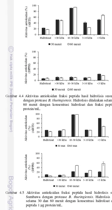 Gambar 4.4 Aktivitas antioksidan fraksi peptida hasil hidrolisis susu kambing 