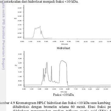 Gambar 4.9 Kromatogram HPLC hidrolisat dan fraksi <10 kDa susu kambing yang 