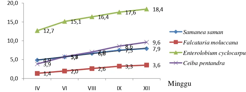 Gambar 6 Tinggi rata-rata tanaman  trembesi (S. saman), sengon (F. moluccana), sengon buto (E