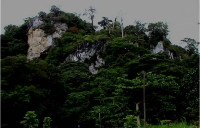 Foto 1. Bentang alam Kars Gunung Putih 