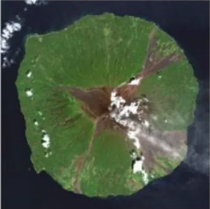 Gambar 2 Data Raster Citra Satelit  b)  Data Vektor 