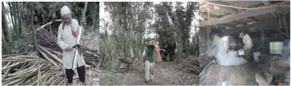 Gambar 1. Aktivitas Pengarajin Gula Merah Tebu di Nagari Bukik Batabuah  Karakteristik  petani  pengrajin 