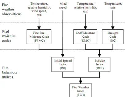 Gambar 3 Struktur sistem Fire Weather Index (FWI)  