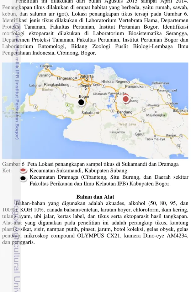 Gambar 6  Peta Lokasi penangkapan sampel tikus di Sukamandi dan Dramaga  Ket:    Kecamatan Sukamandi, Kabupaten Subang