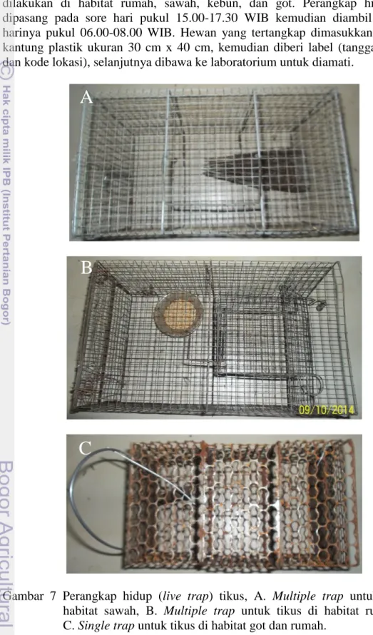 Gambar  7  Perangkap  hidup  (live  trap)  tikus,  A.  Multiple  trap  untuk  tikus  di  habitat  sawah,  B