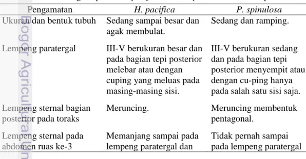 Tabel 5 Perbandingan spesies H. pacifica dan P. spinulosa dari hasil penelitian 