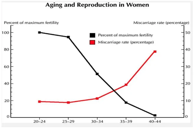 Gambar 1. Hubungan umur dengan reproduksi wanita 