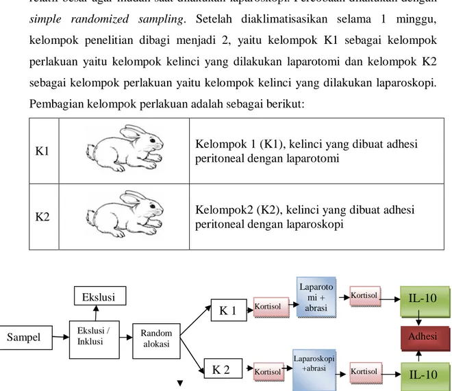 Gambar 4.1. Skema Rancangan Penelitian Sampel 