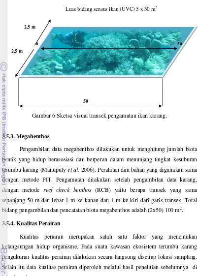 Gambar 6 Sketsa visual transek pengamatan ikan karang. 