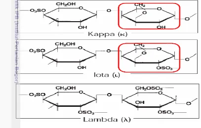 Gambar 1. Struktur Kimia Kappa, Iota dan Lambda Karagenan (Bubnis 2000) 