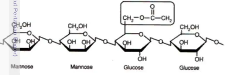 Gambar 9. Struktur Kimia Glukomanan (Anonim 1981) 