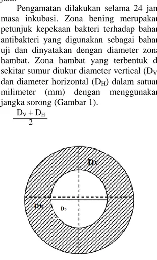 Gambar 1. Pengukuran diameter zona hambat 