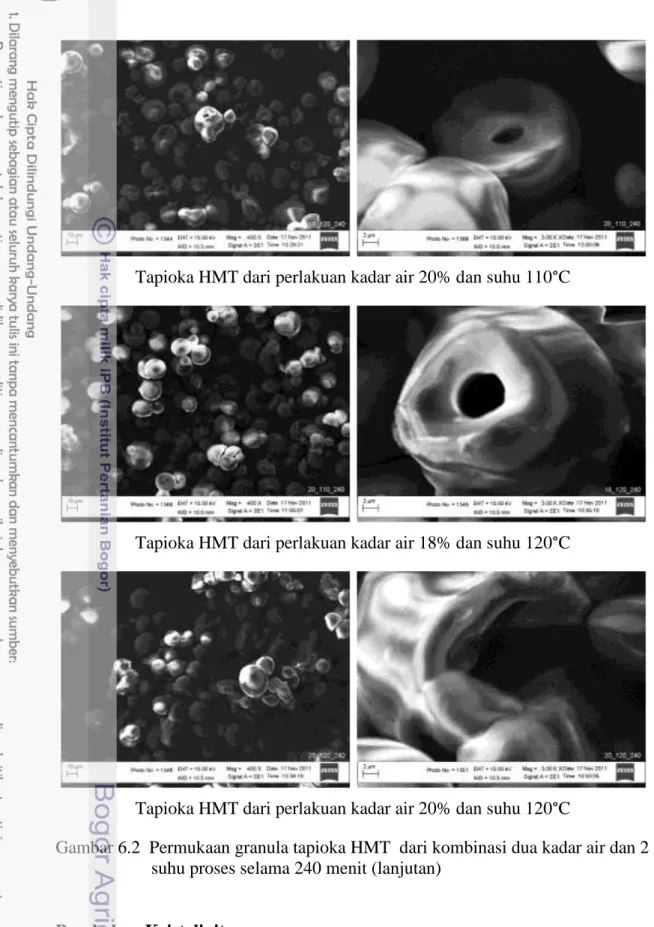 Gambar 6.2  Permukaan granula tapioka HMT  dari kombinasi dua kadar air dan 2  suhu proses selama 240 menit (lanjutan) 