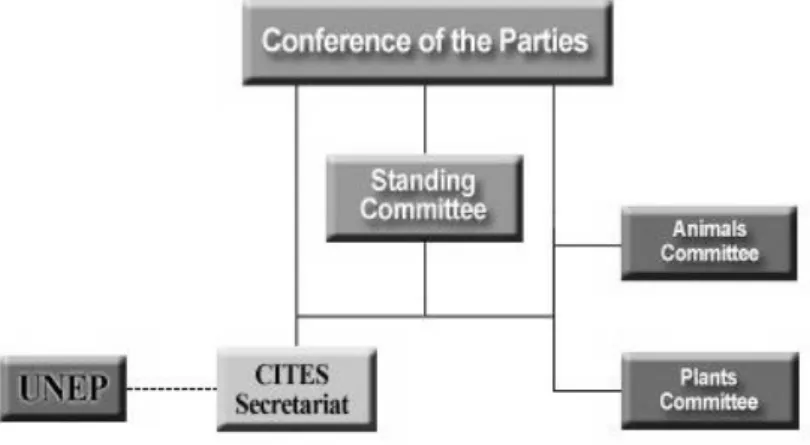Tabel 3.2.2 : The Structure of CITES 